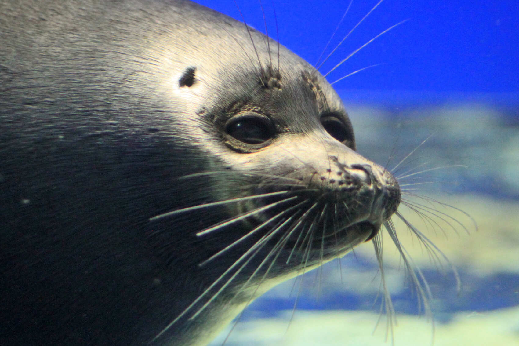 Великолепие и Классика Байкала: Листвянка, Кбжд, Усть-Орда и Ольхон (5/95)