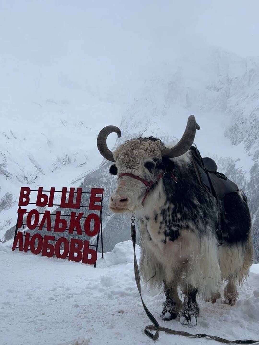 Джиптур на Домбай индивидуально до 4 чел 