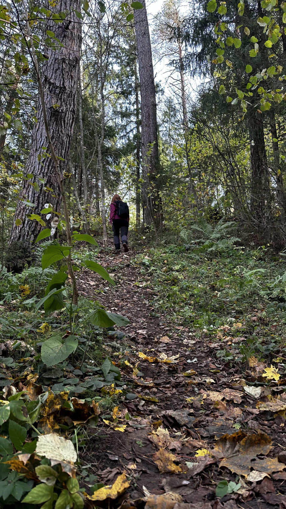Пеший поход Звенигородская биостанция Мгу и карьер Сима (4/9)