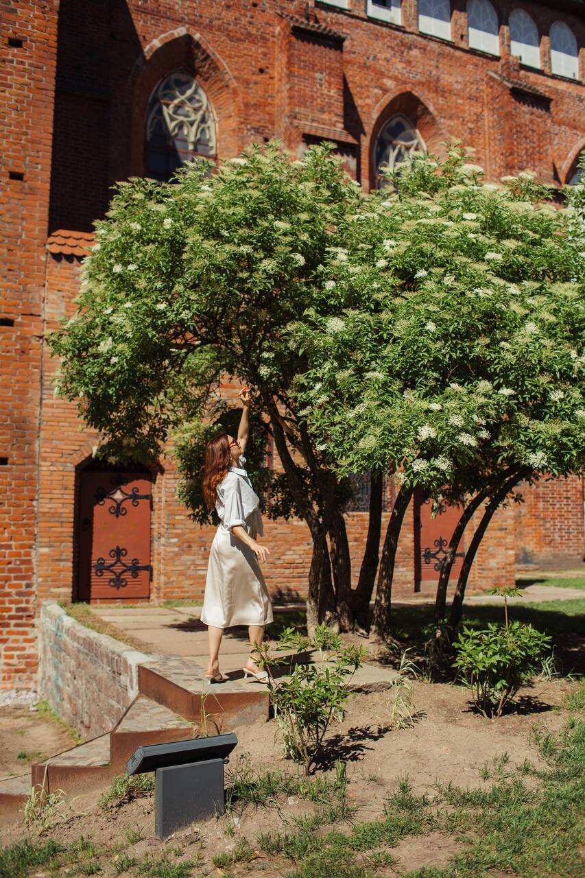 Тур в Калининград Сила Стихий (25/41)