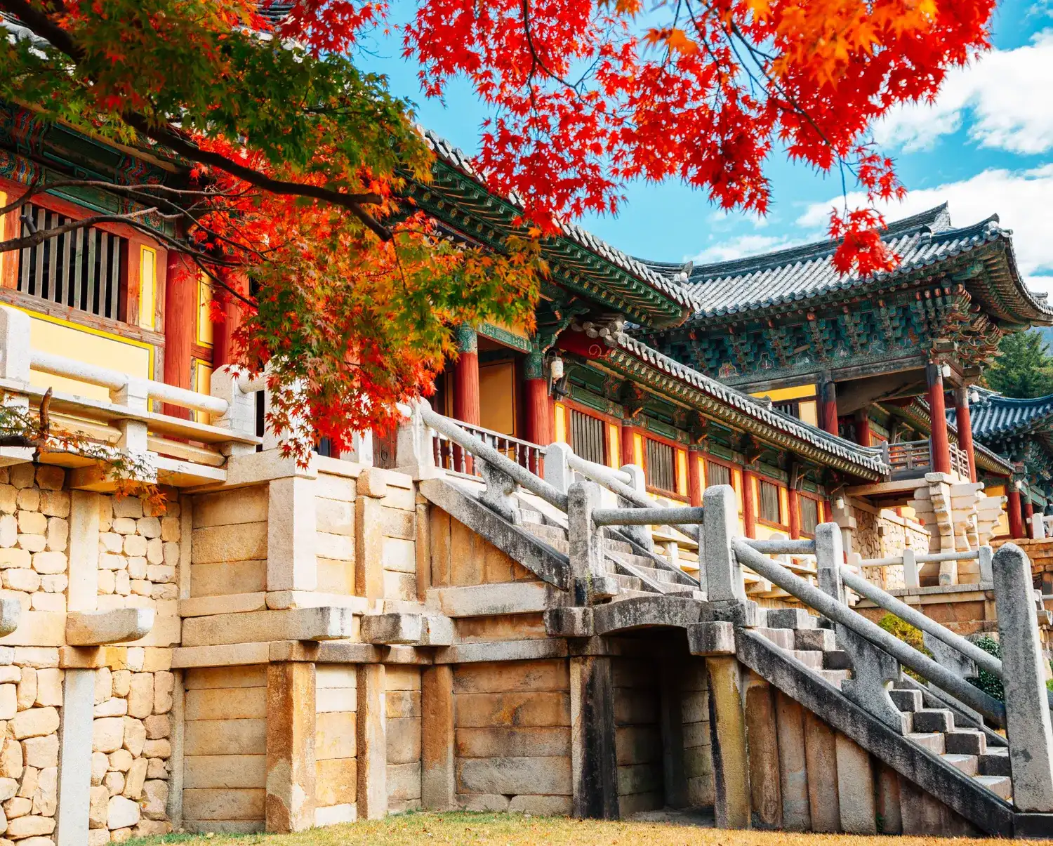 Сезон красных клёнов. Сеул+Чеджу (2/30)