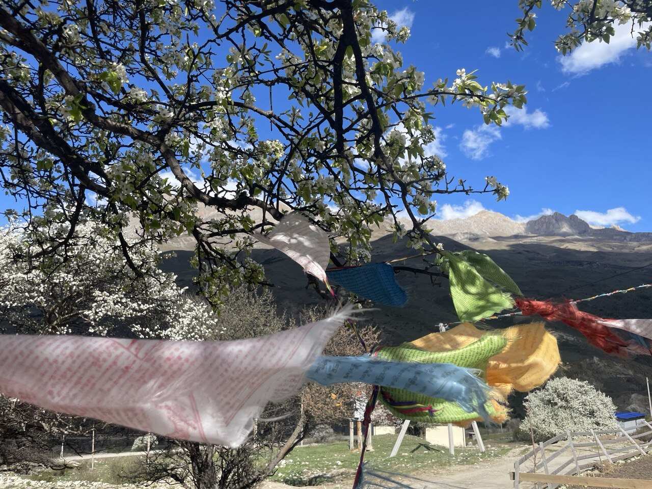 Йога трекинг тур в Северную Осетию (15/44)