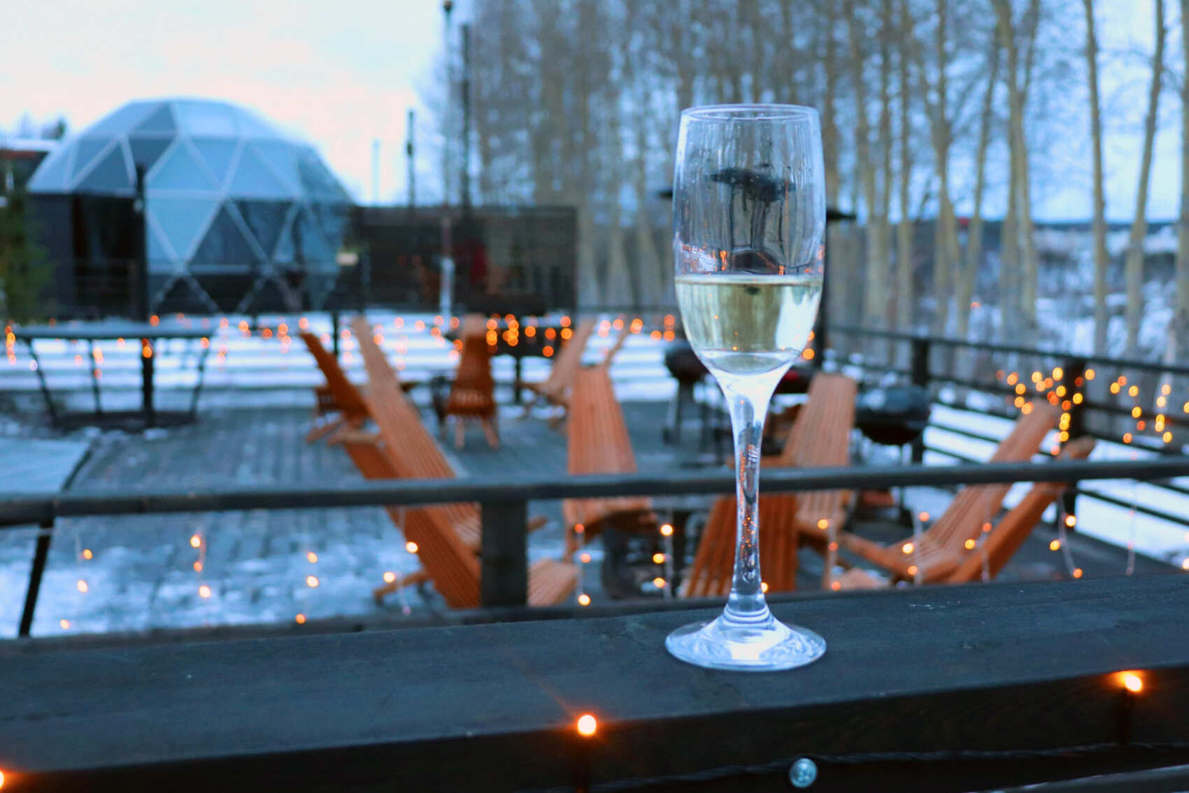 Эмоции Севера: фото, гастро, приключения!  (5/24)