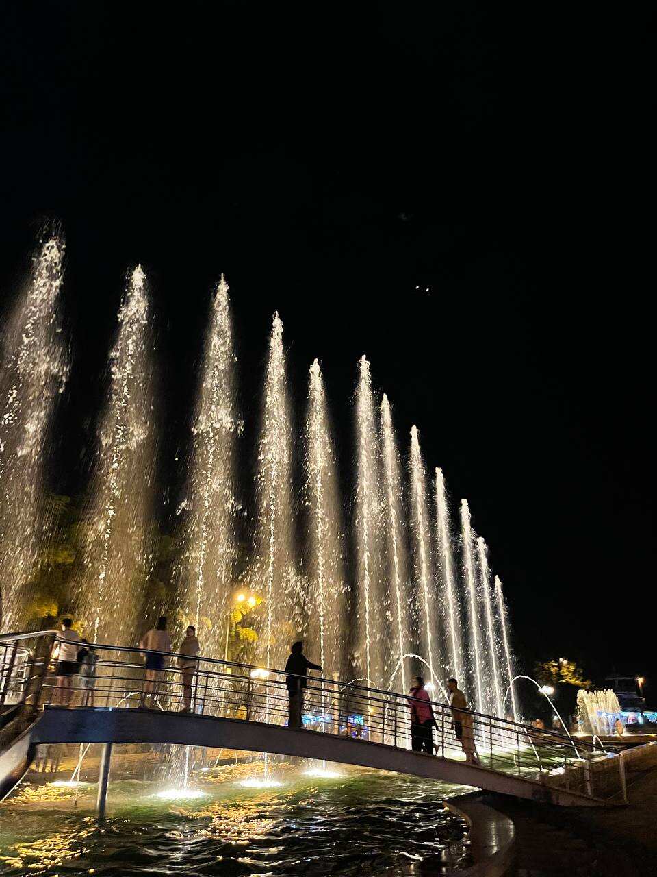 Индивидуальный Развлекательный тур с посещением Дельфинария и Цицинате (9/9)