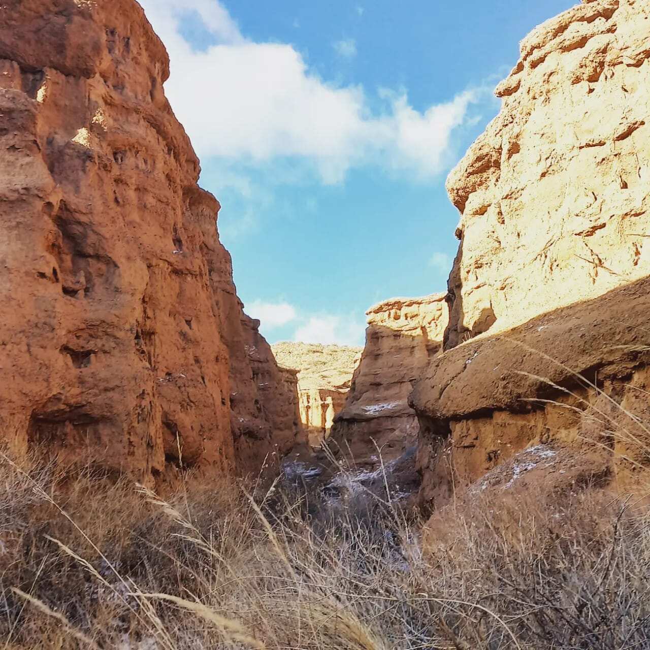 Древняя башня Бурана и каньоны Кок-Мойнок (10/25)