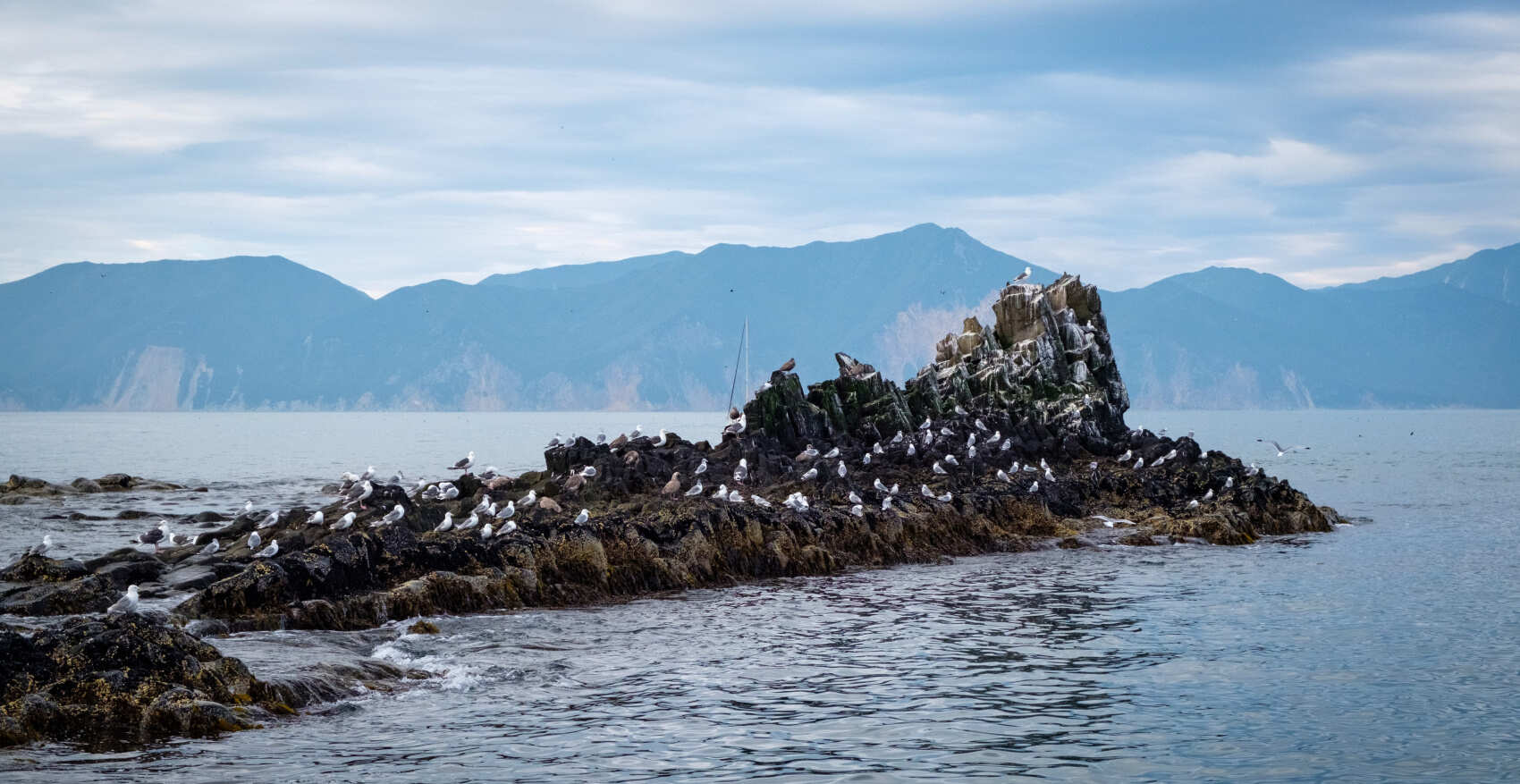 Поход по Камчатке: вулканы и океан (14/58)