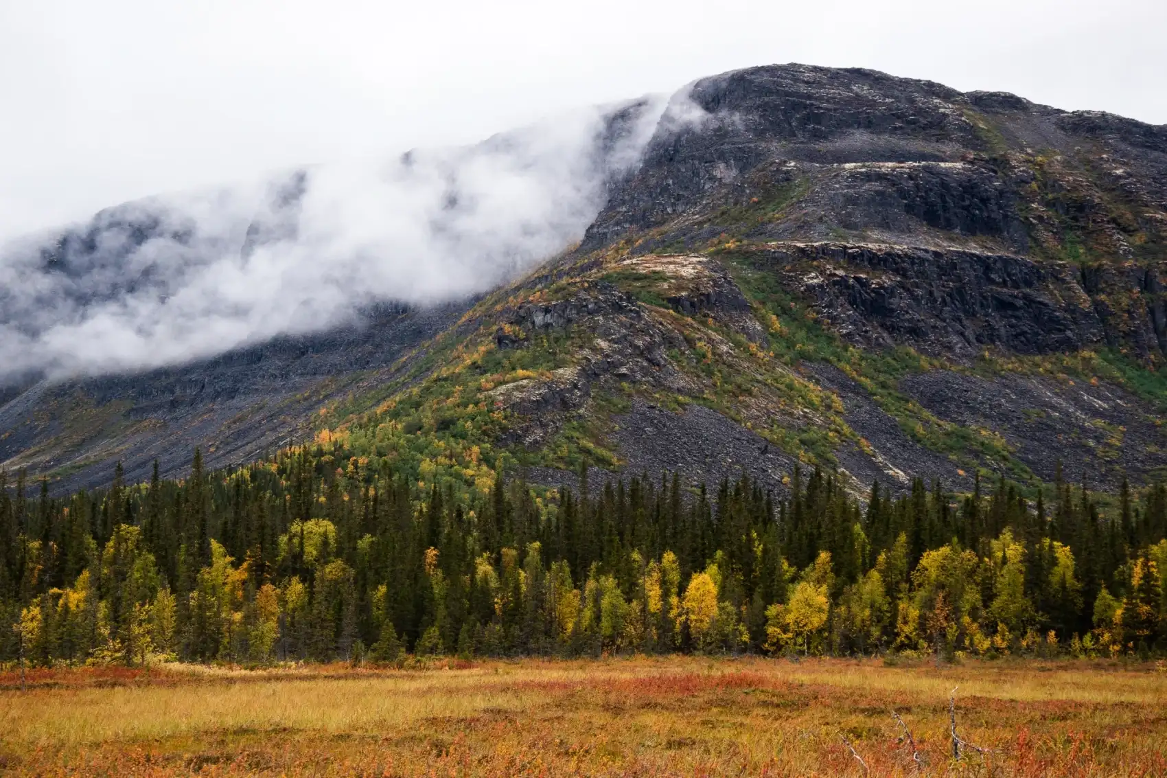 Ловозерские тундры (6/34)