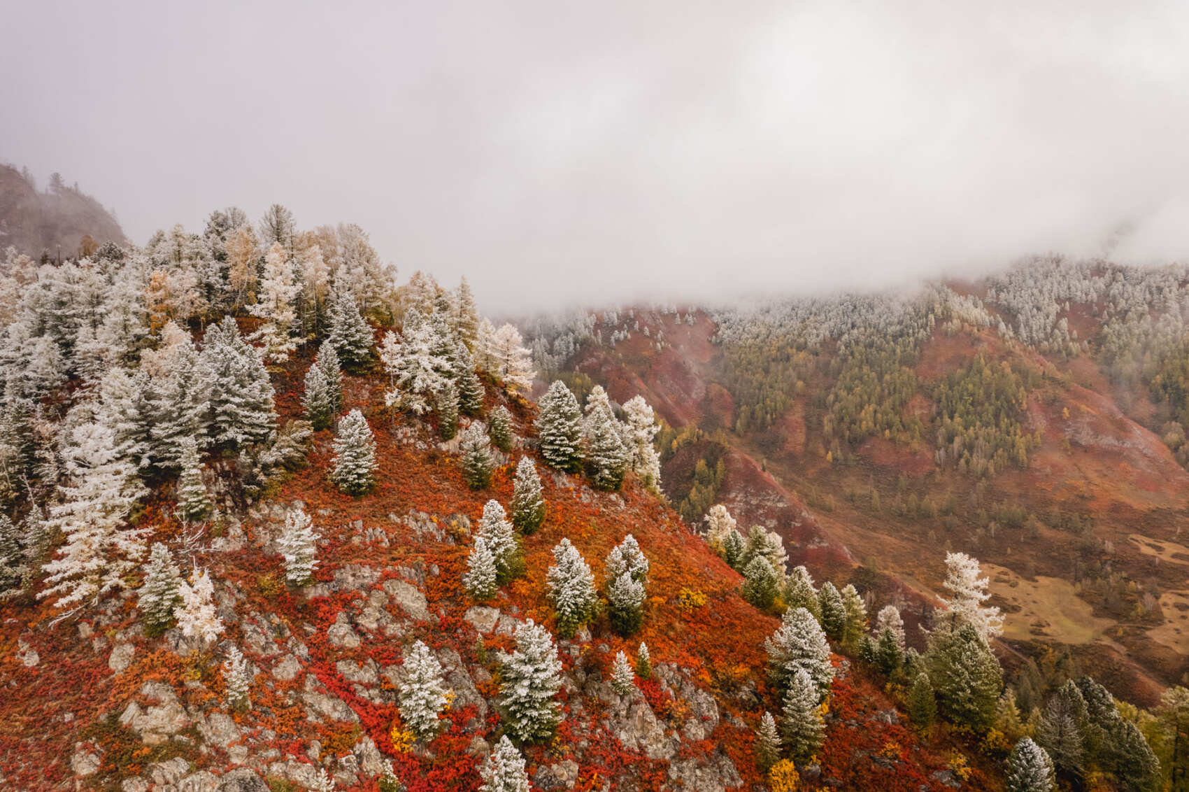 Бархатный сезон с фотографом (19/53)