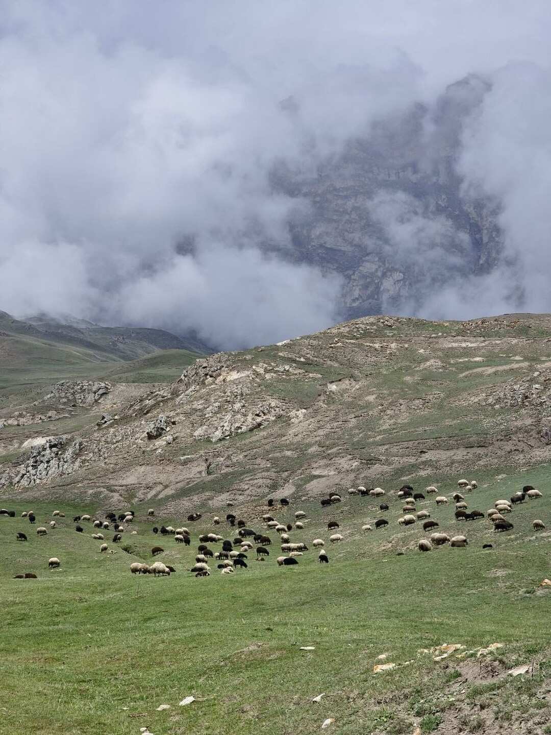 Кабардино-Балкария: Тайны Гор и Долин. Из Владикавказа (56/73)