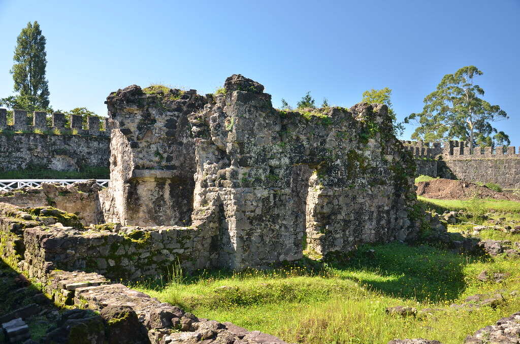 Индивидуальная Экскурсия в крепость Гонио и Батумский Ботанический сад (7/7)