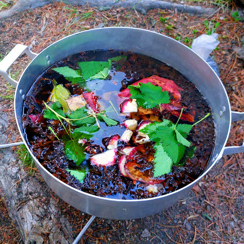 Поход на Алтай. Гора Белуха и Кучерлинские озера. Без рюкзаков. (7/68)