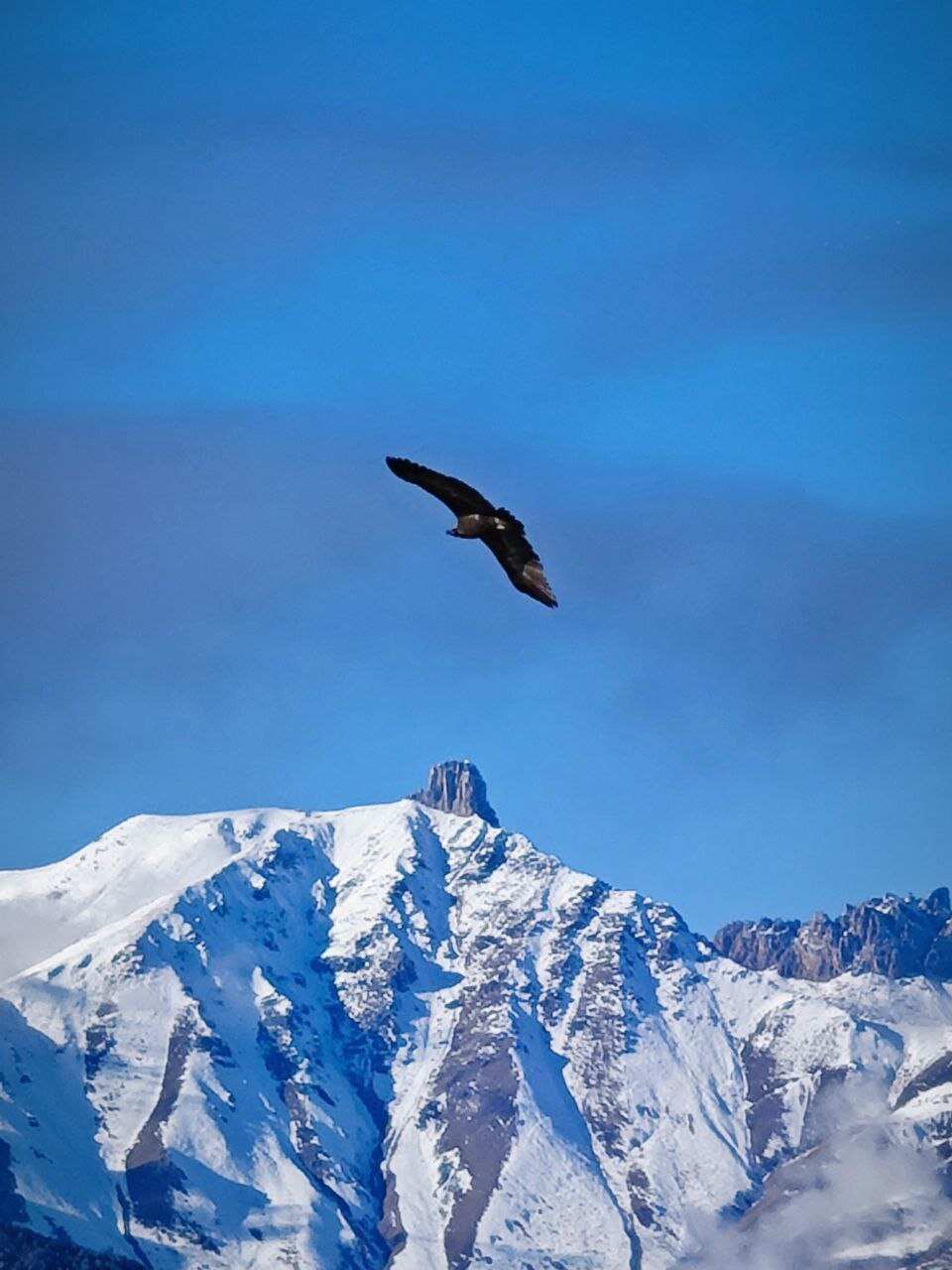 Тур в сердце Осетии. 5 дней. (47/61)