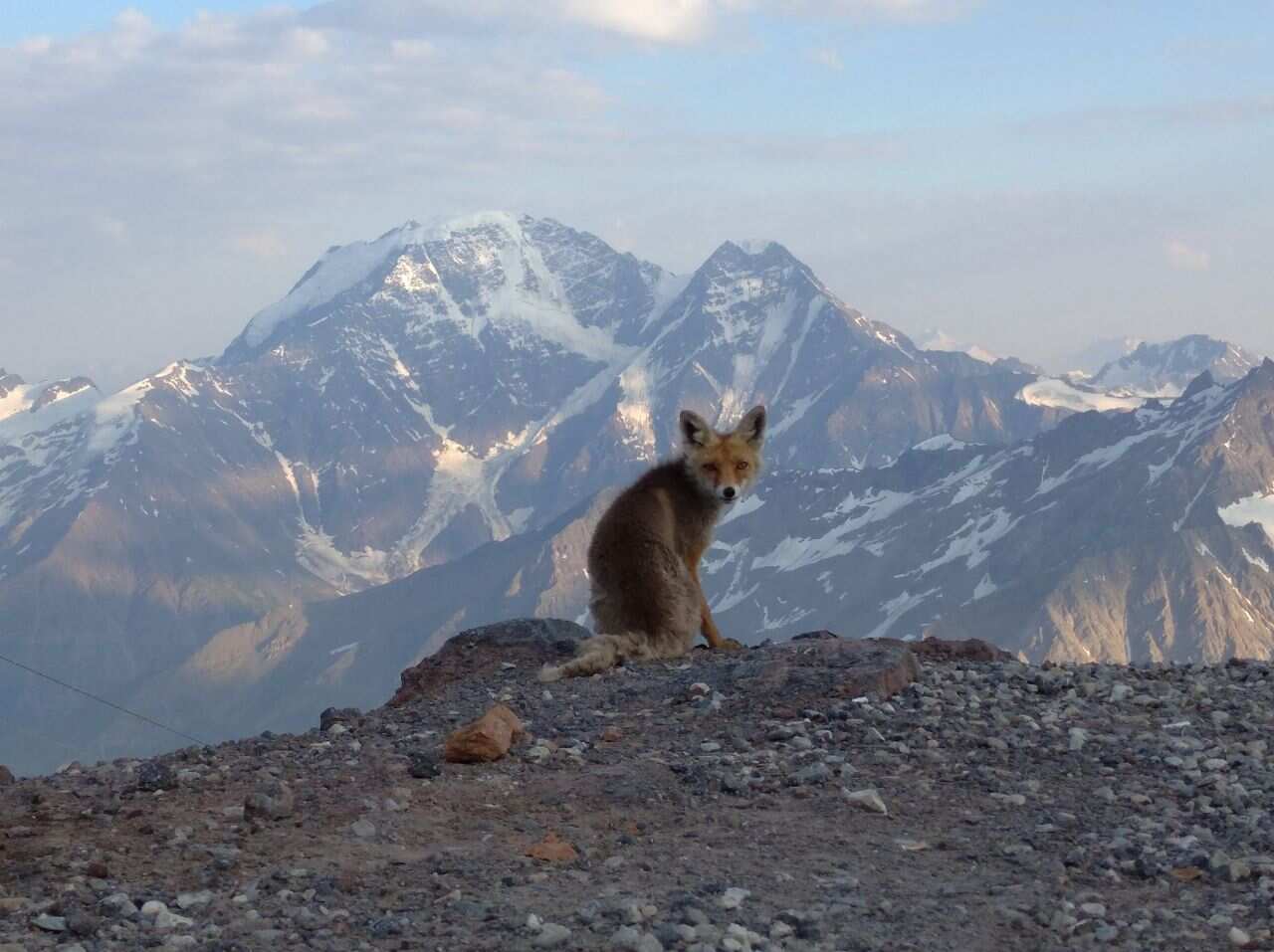 Восхождение на Эльбрус с юга, 8 дней (10/15)