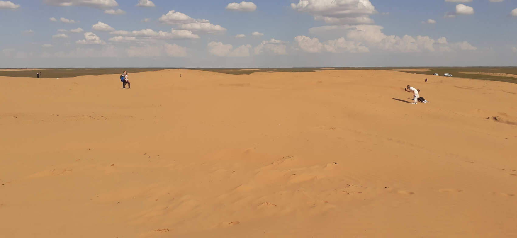 Калмыкия, тюльпанные поля, озеро Баскунчак и Золотая Элиста (5дн./5 ноч.) (23/51)