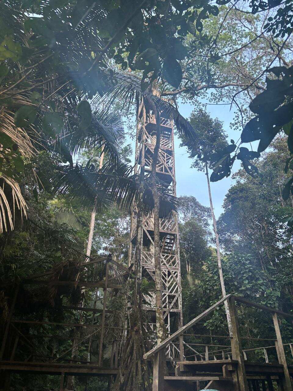 8 Days - 360° Deep into Cuyabeno (6/10)