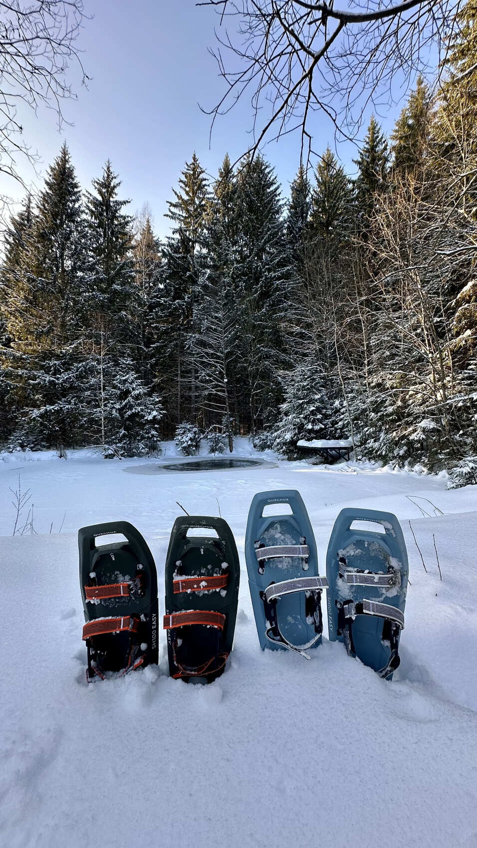 Поход на снегоступах Русский север в Подмосковье (7/11)