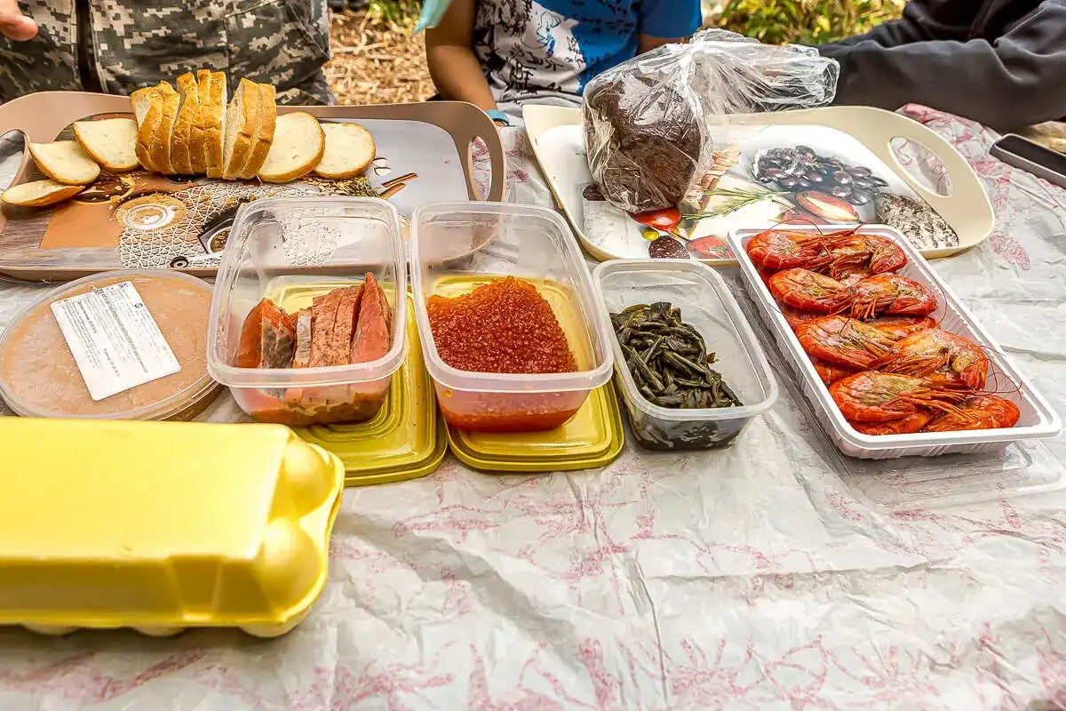 Три вулкана Курильских островов. Путешествие на другую планету (4/138)