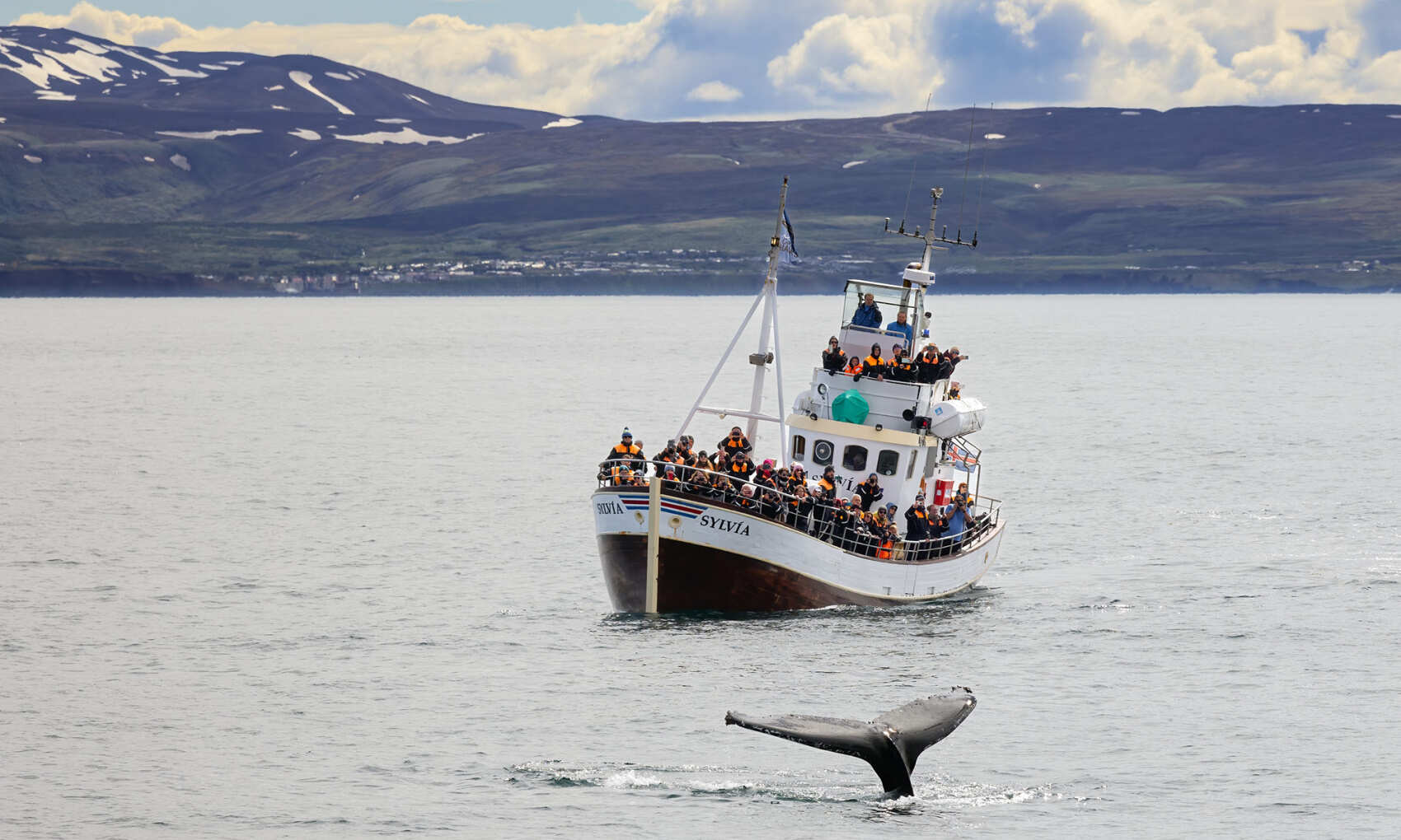 Исландия — путешествие на другую планету (10/15)