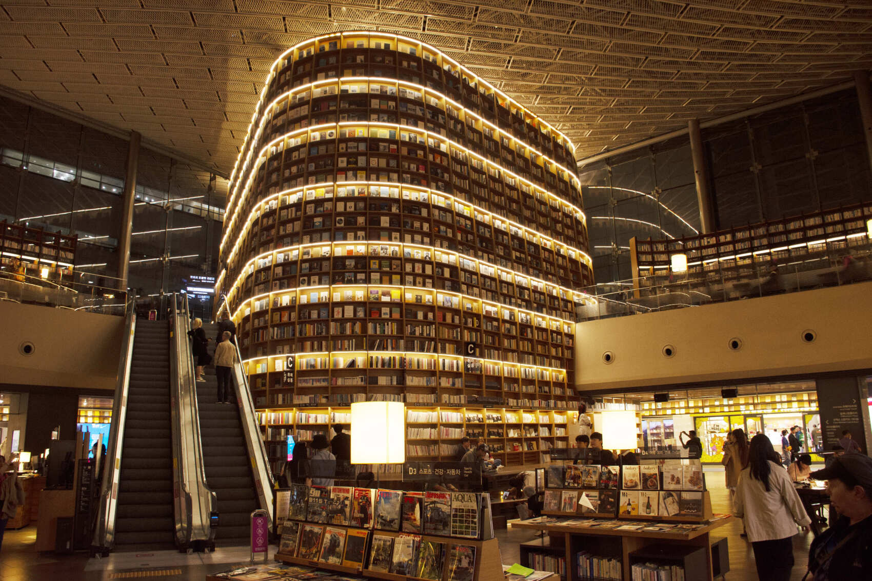 Южная Корея. Сакура в утренней свежести (4/34)