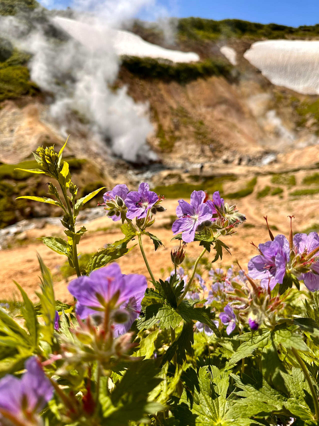 Джип-тур в Малую Долину Гейзеров, водопад Спокойный. Гастроэкскурсия Мифы о Юколе (6/17)