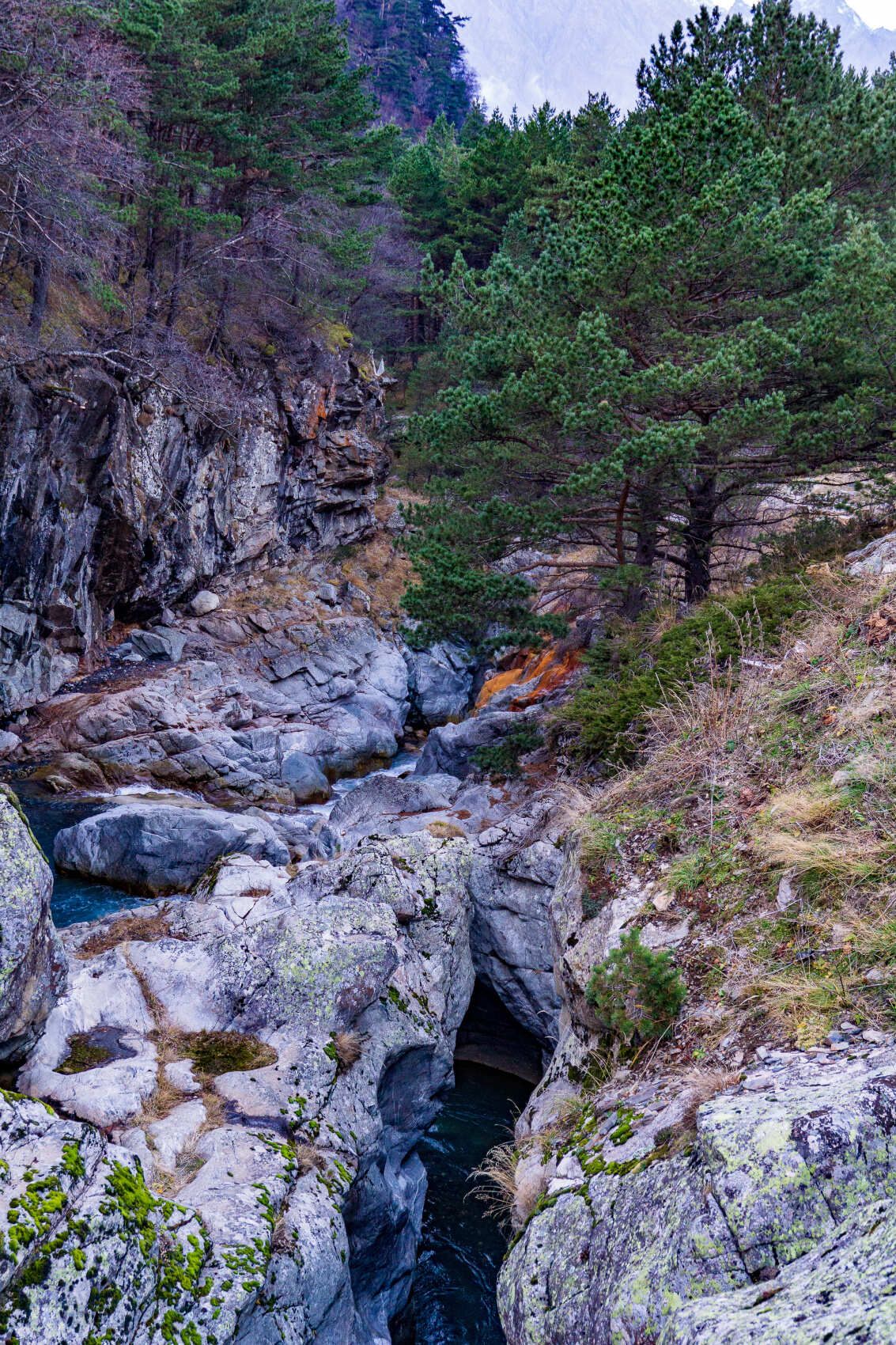 Северная Осетия и Кабардино-Балкария (36/91)