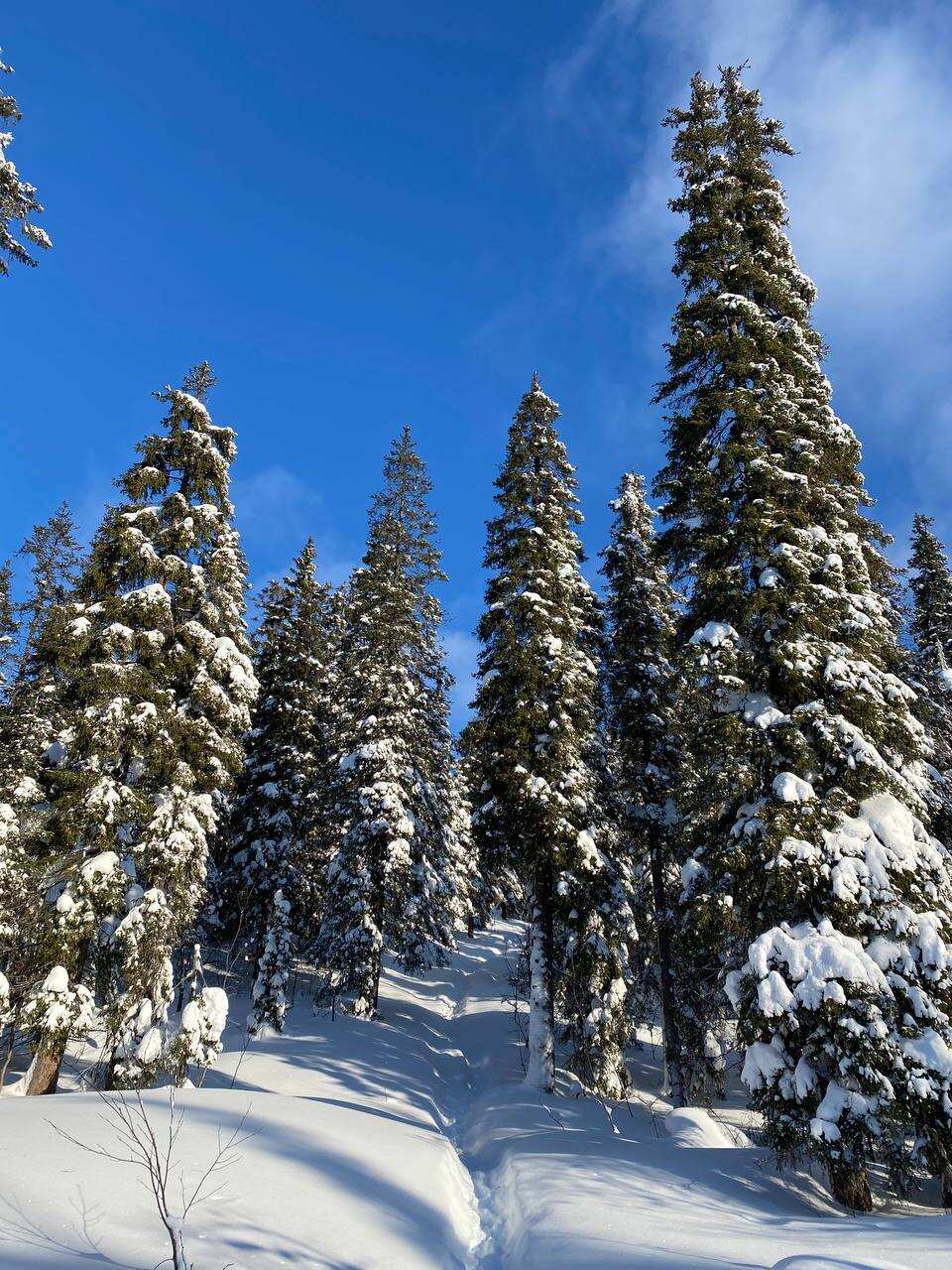Поход в горы Хибины на снегоступах (7/16)
