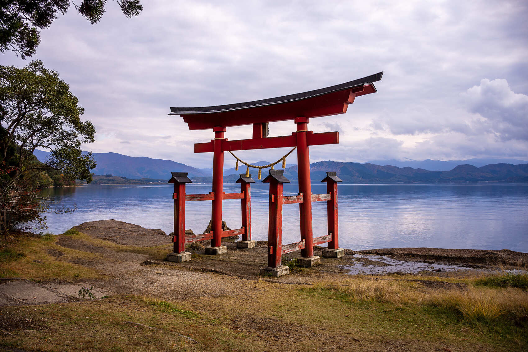 Сакура в Японских Альпах (7/48)