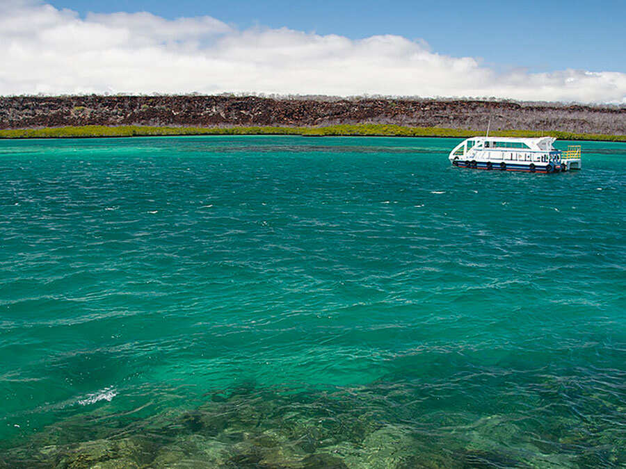 5-дневная прогулка по Галапагосским островам: Сан-Кристобаль и Санта-Круз (5/7)