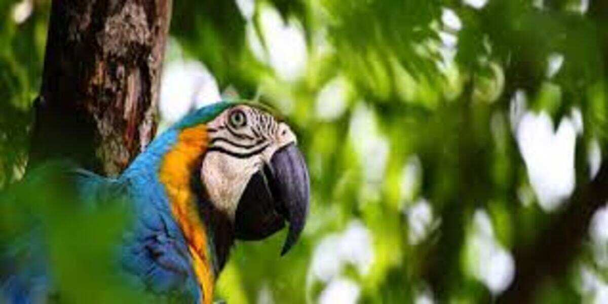 5 Days - Killa de Remo Adventure (2/8)