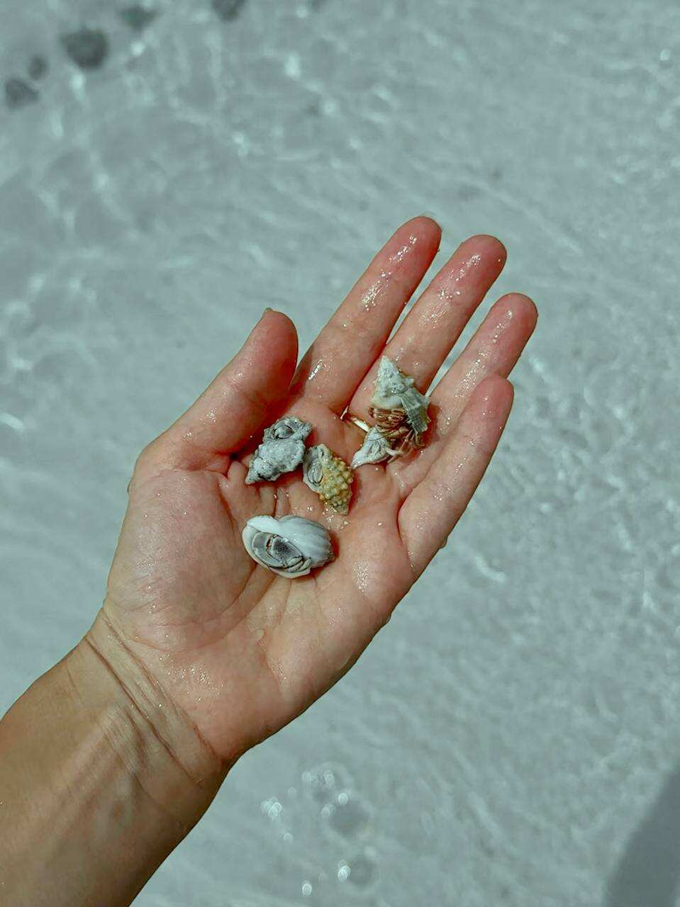 Австралия: Мельбурн, Сидней и Большой Барьерный Риф (4/45)