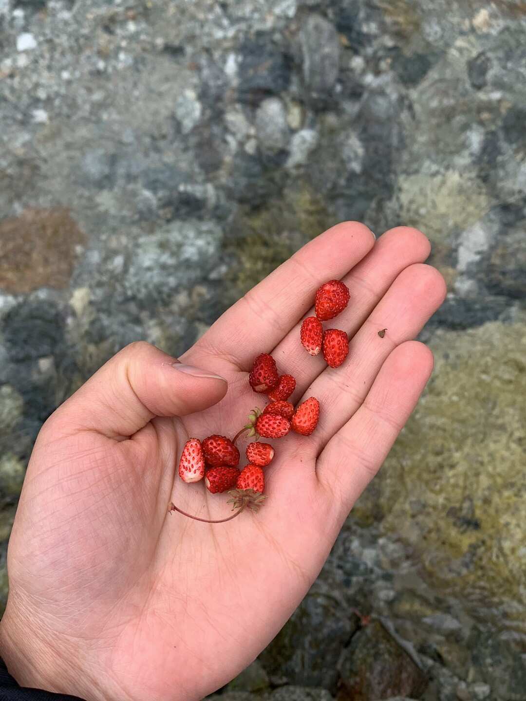 Интернет-детокс в ущелье реки Махар (7/30)