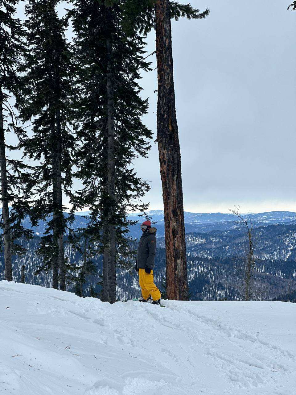 Горнолыжный тур Манжерок+Телецкое озеро+Шерегеш (10/21)
