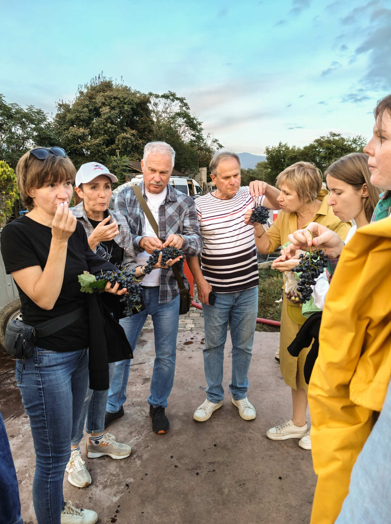 Горы, вино, великая история и люди! Яркая Грузия! (7/108)