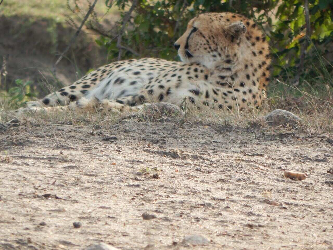 Сафари по дикой природе и пляжный отдых  (4/26)