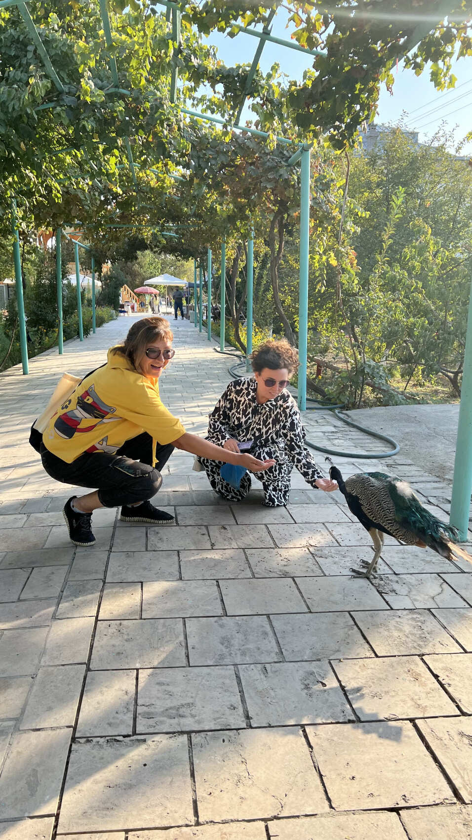 Душевный Узбекистан (31/42)