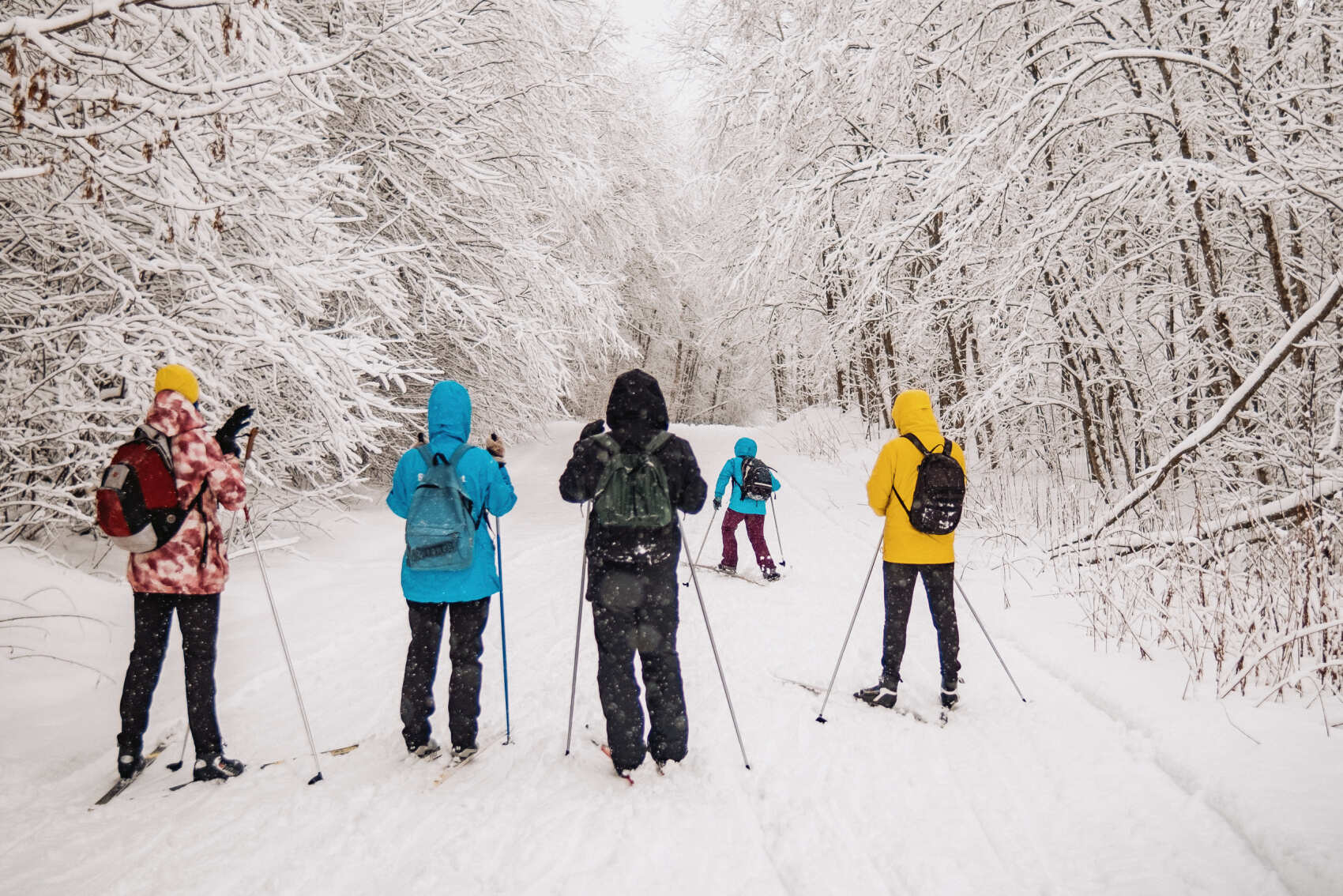 Лыжные тренировки в Санкт-Петербурге. Базовый уровень (20/28)