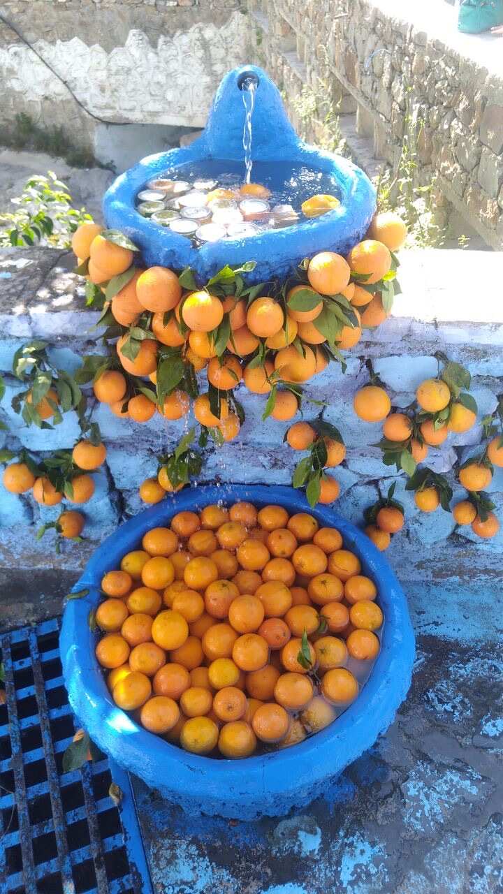 2 в 1: тур по всему Марокко + неделя серфинга! Путешествие на 15 дней с комфортом (70/113)