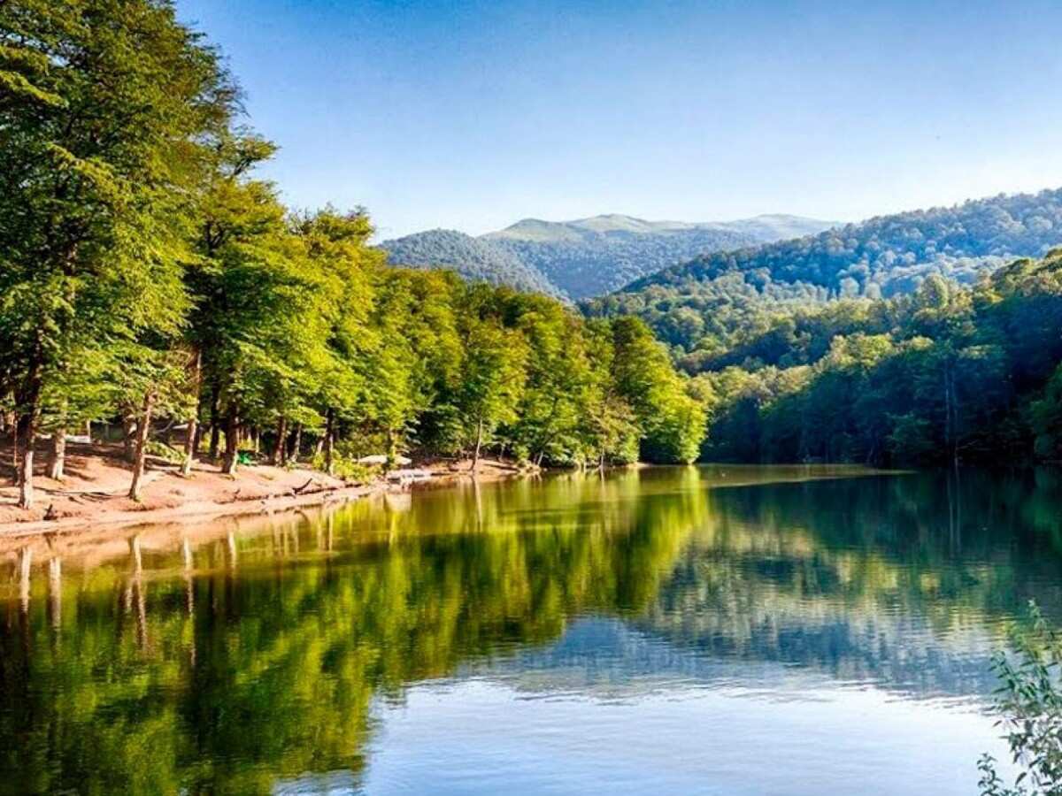 Пешая экскурсия по Дилижанскому национальному парку (2/20)