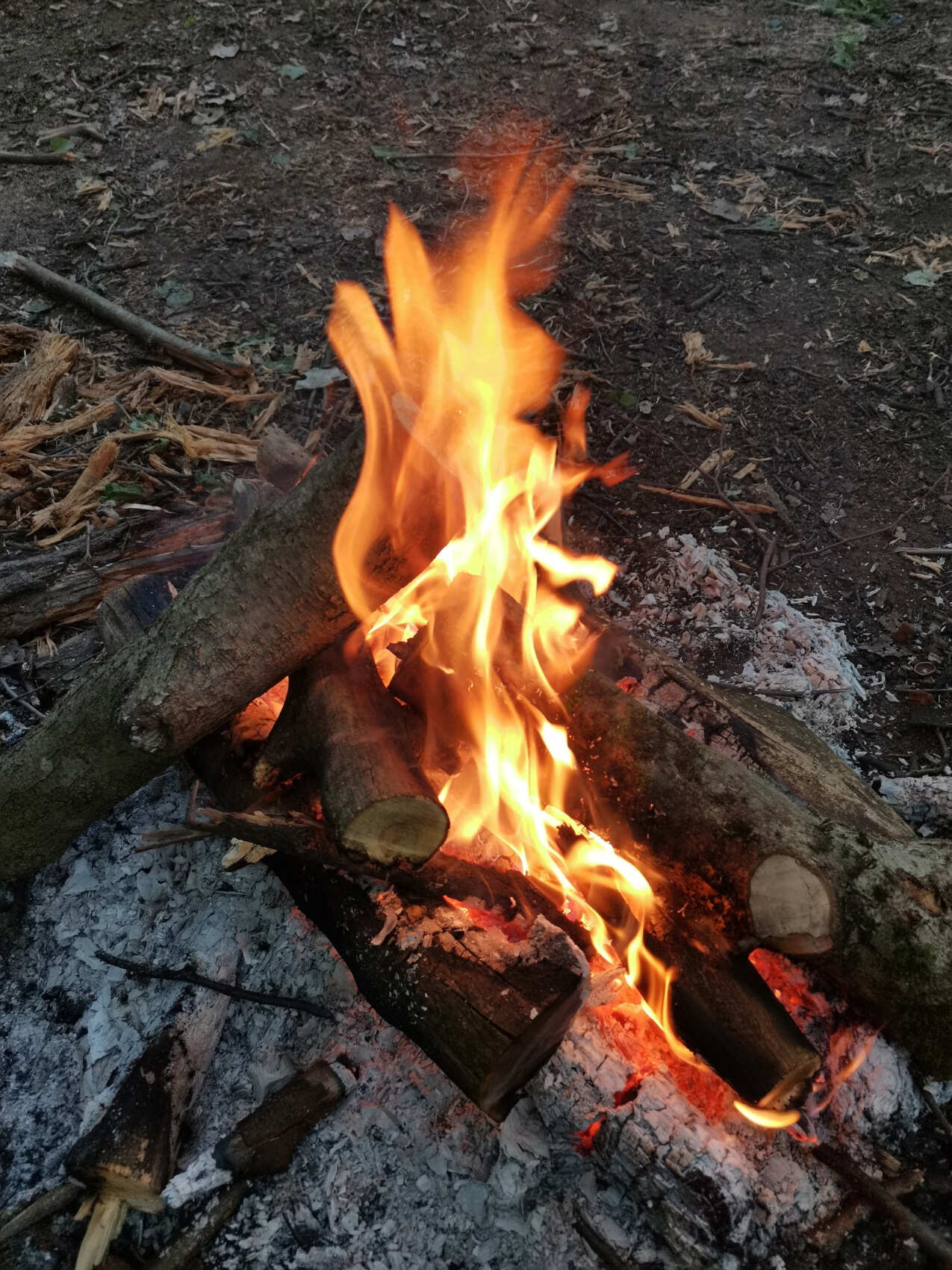 Однодневный сплав на байдарках по реке Истра (3/14)