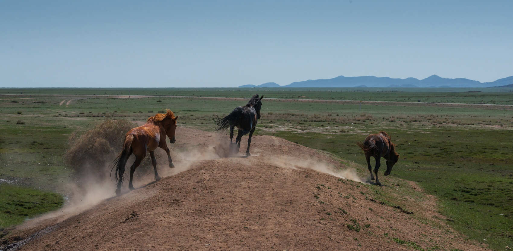 Фототур на Северный Тянь-Шань. Семиречье - жемчужина Казахстана. (79/126)