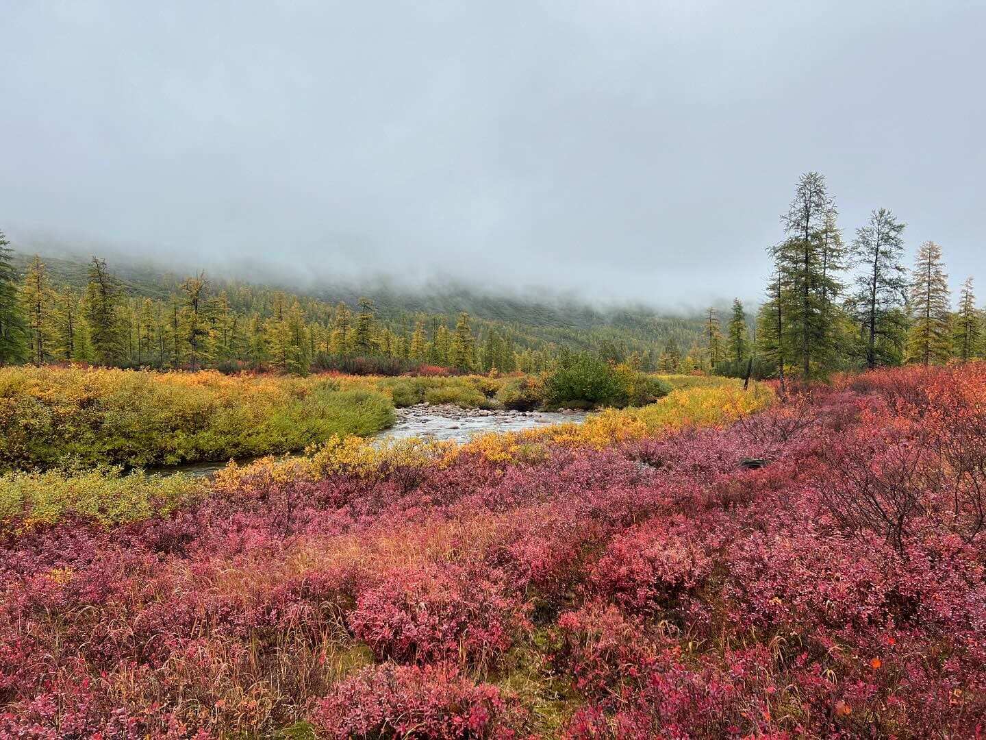Магадан. Путешествие к озеру Джека Лондона (4/39)