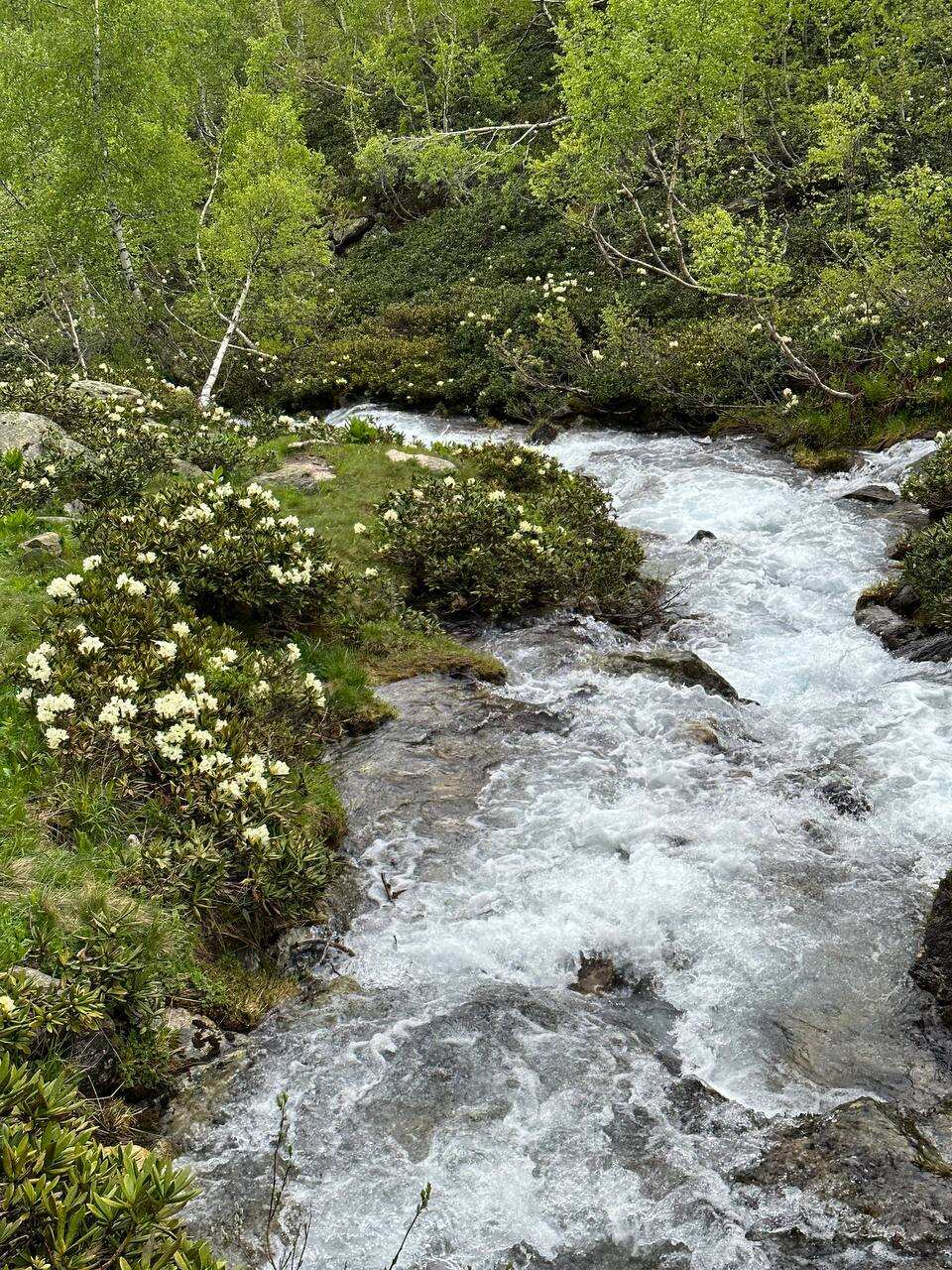Архыз - величие гор и магия озер (11/36)