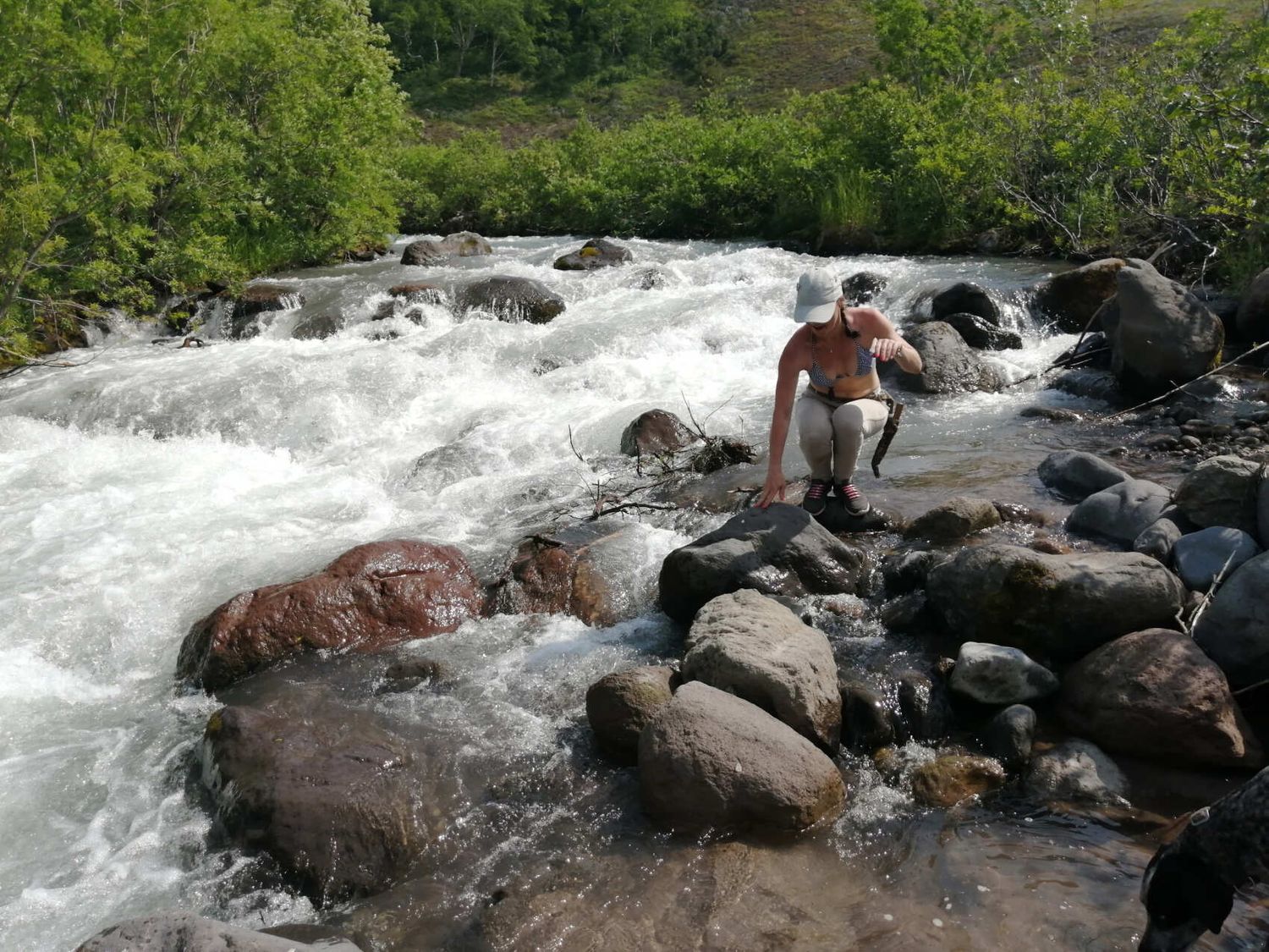 Конный тур к реке Дремучая: Следы последнего извержения Корякского вулкана (2/17)