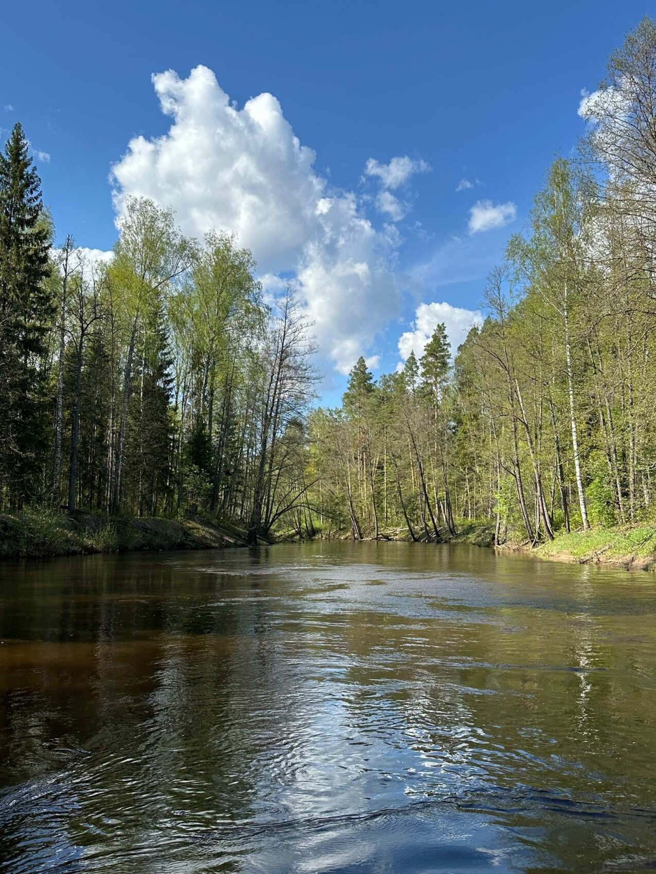 Сплав на каяках по реке Юшут
