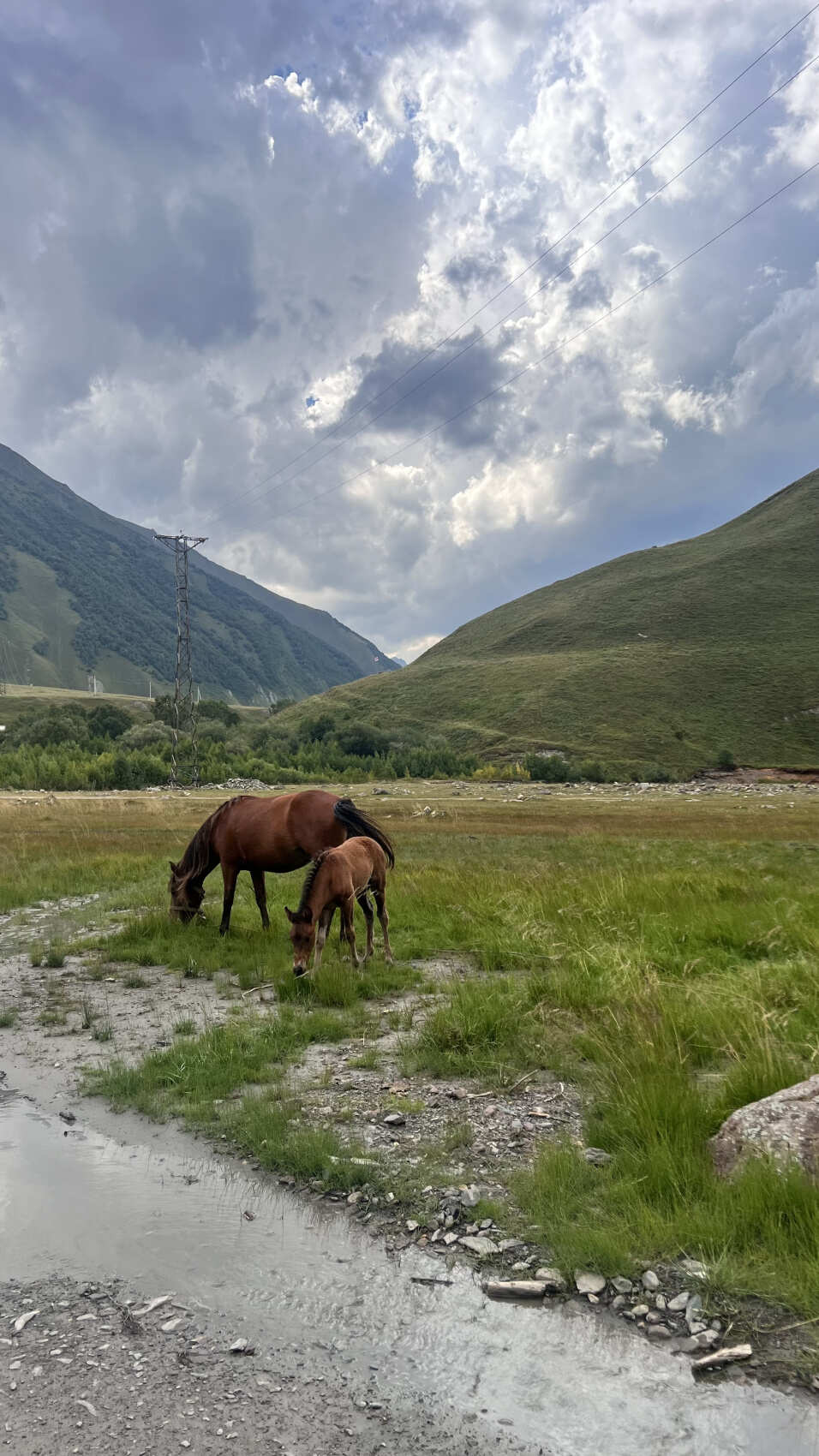 На джипах в Казбеги. Едем за головокружительными видами и к красивым водопадам! (6/13)