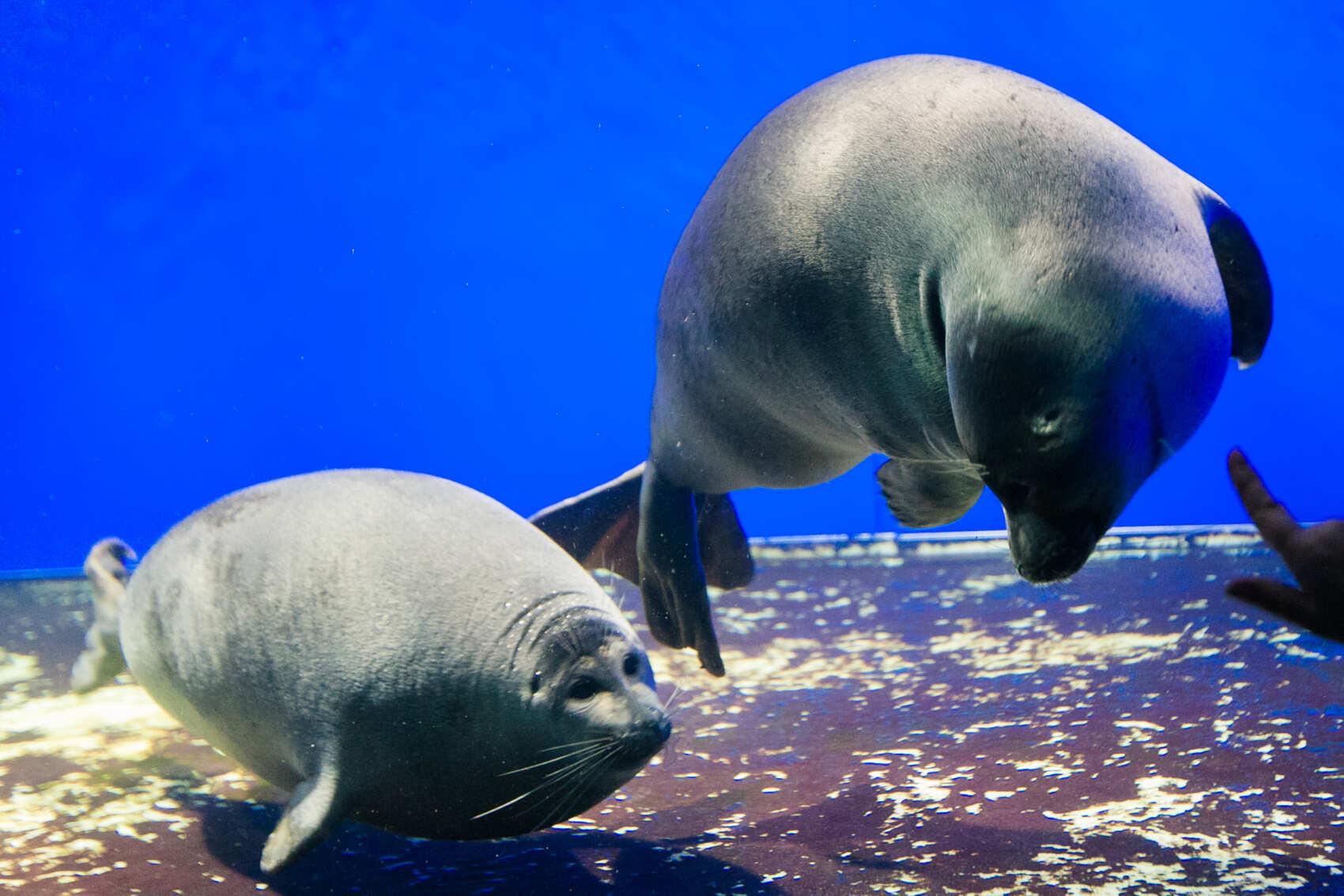 Байкальская Одиссея: много экскурсий, 2 Легких Треккинга. Мощная программа. (10/117)