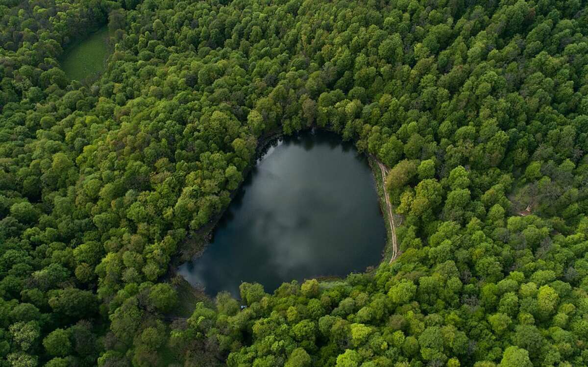 Пешая экскурсия по Дилижанскому национальному парку (14/20)