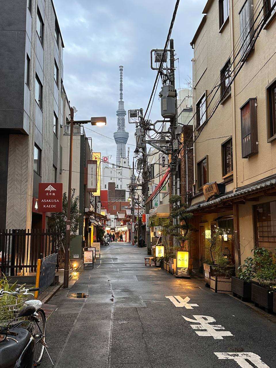 Япония: фестиваль фейерверков и пляжи Окинавы (7/37)