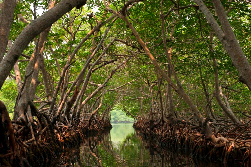 Иран: через пустыню к островам по следам Древней Персии (2/45)