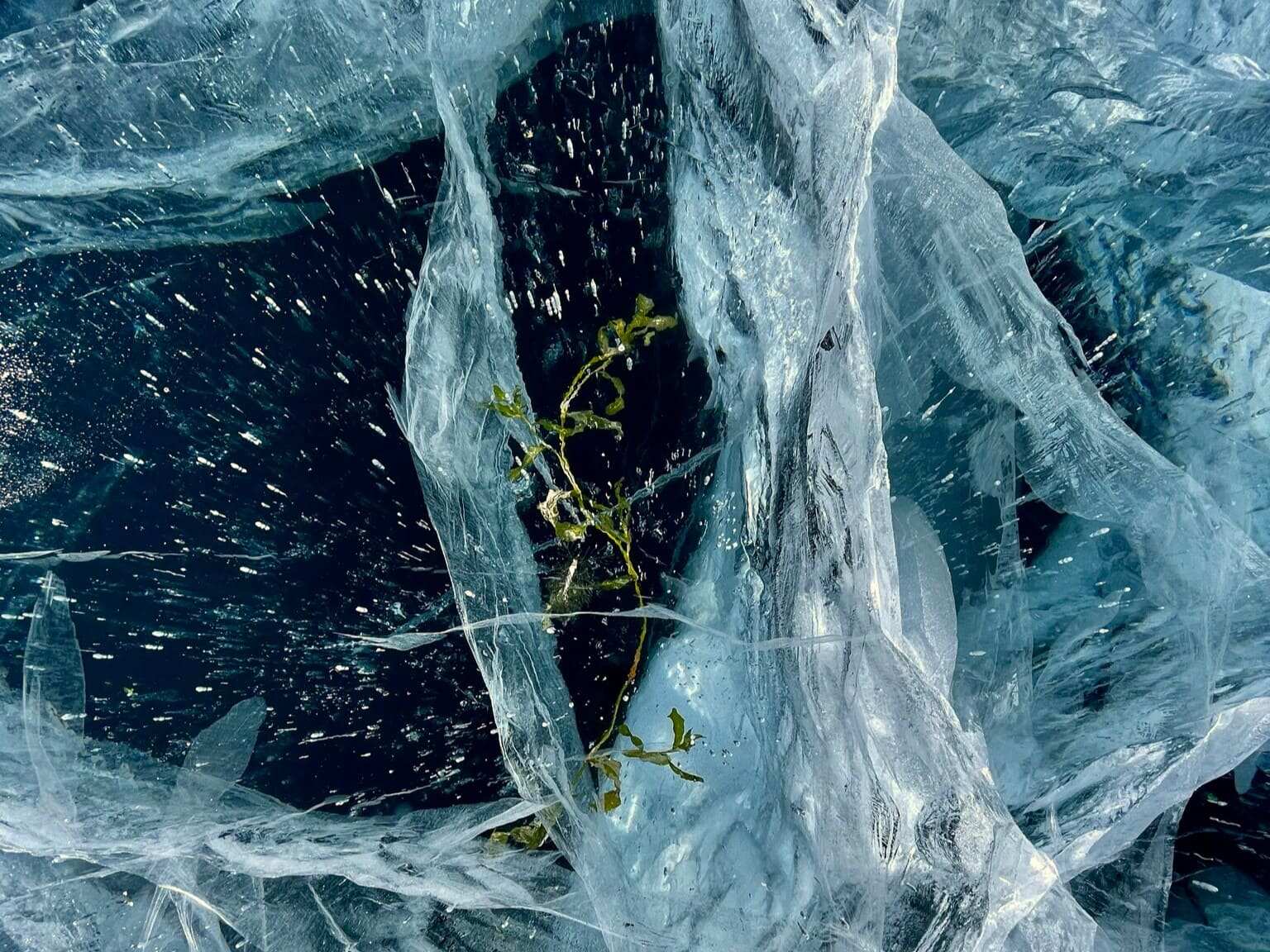 Дыхание Байкала (51/91)